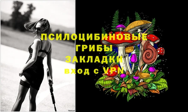 ПСИЛОЦИБИНОВЫЕ ГРИБЫ Лагань