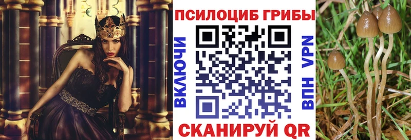 купить наркоту Стерлитамак Псилоцибиновые грибы Psilocybe